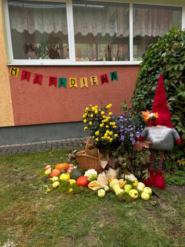 WhatsApp-Image-2024-10-11-at-16.38.35