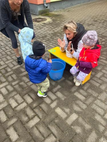 WhatsApp-Image-2024-10-11-at-16.38.39