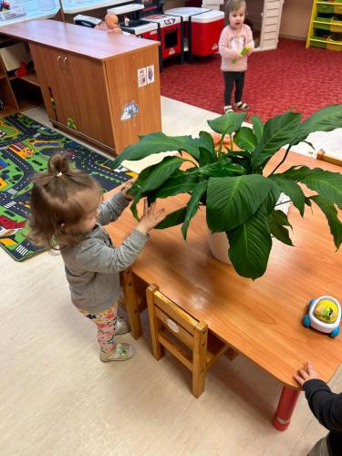 WhatsApp-Image-2024-10-11-at-16.22.06