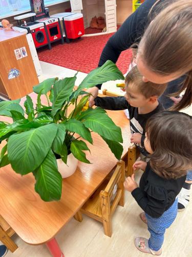 WhatsApp-Image-2024-10-11-at-16.22.09