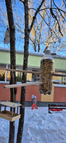 WhatsApp-Image-2026-01-19-at-08.30.04-1