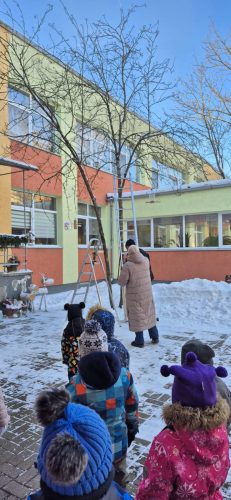 WhatsApp-Image-2026-01-19-at-08.30.04-4