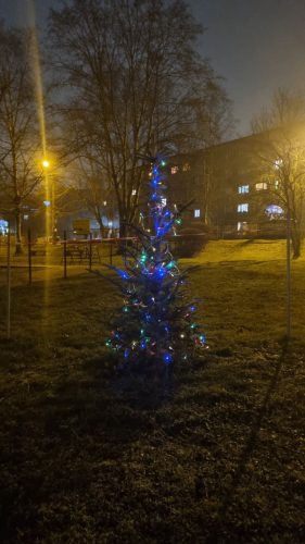 WhatsApp-Image-2026-01-19-at-08.38.16