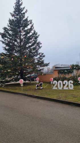 WhatsApp-Image-2026-01-20-at-10.40.53-2