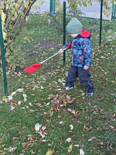 252ba966-bdbf-40e6-b241-ff1a645011ec