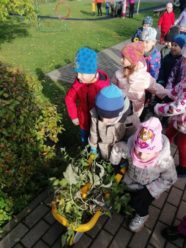 fecea3b0-9b0a-40e0-994f-abf569d998e4